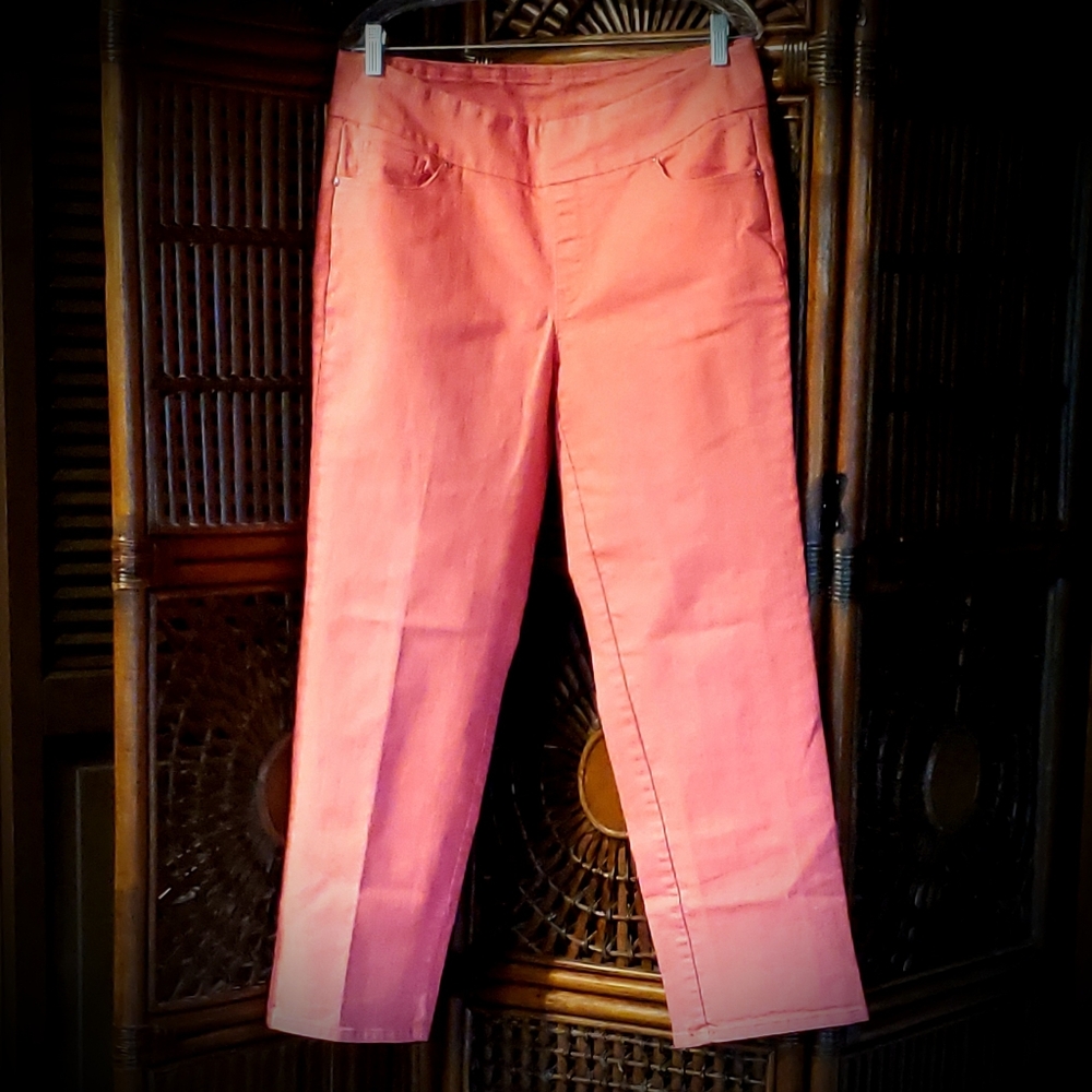 DENIM&CO Regular Perfect Denim Smooth Waist Straight Leg Jeans 16 Coral
